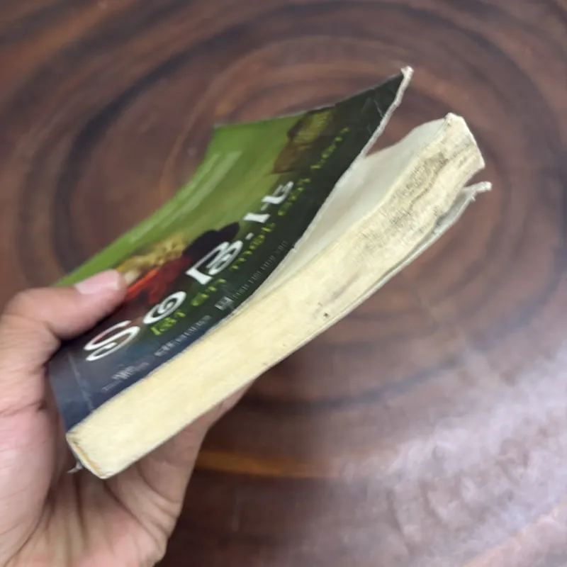 [Có Mốc Và Ẩm Nhẹ] - SoB.It, Bí Ẩn Một Cái Tên - SARAH WEEKS - 2011 977188