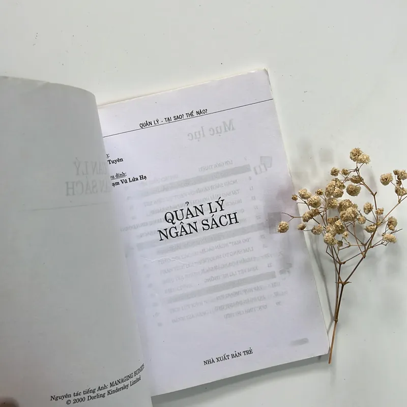Quản lý ngân sách – Lê Tuyên (biên dịch) 716350