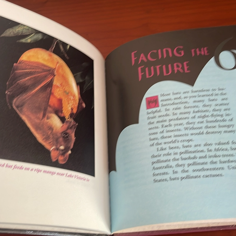 PICTURE BOOK Bats The amazing upside downers 536719