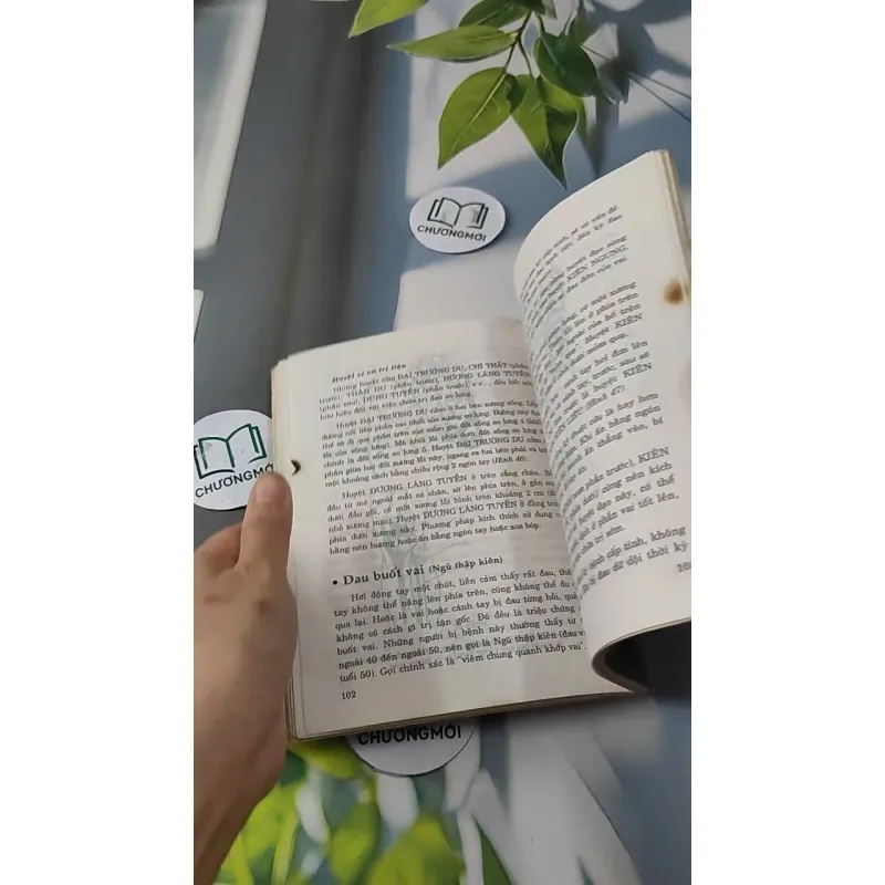 Phương Pháp Bấm Huyệt Chữa Bệnh - Phùng Lực Sinh 727233