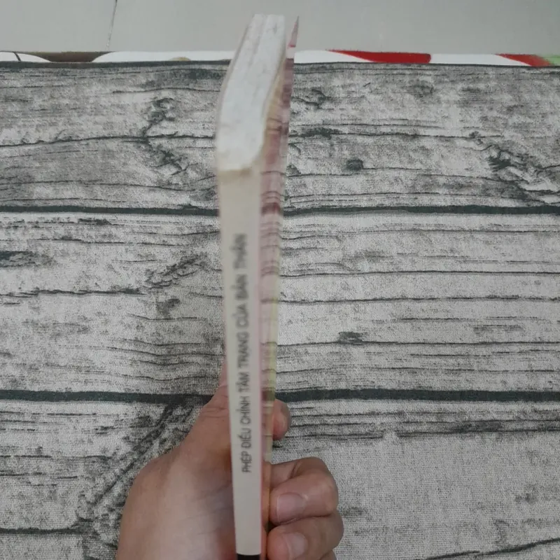 Phép điều chỉnh Tâm trạng bản thân. Biên soạn Trần Đình Tuấn. 704342