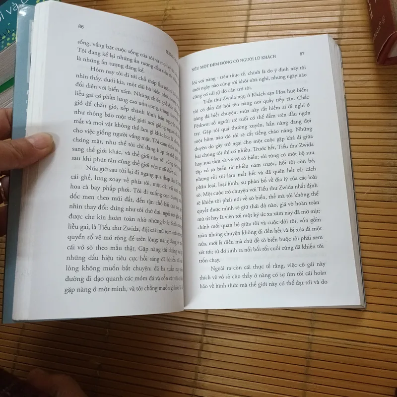 Nếu Một Đêm Đông Có Người Lữ Khách - Italo Calvino 726539