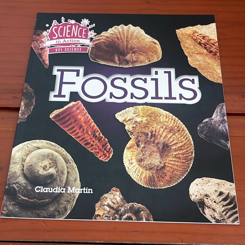 PICTURE BOOK Fossils 536679
