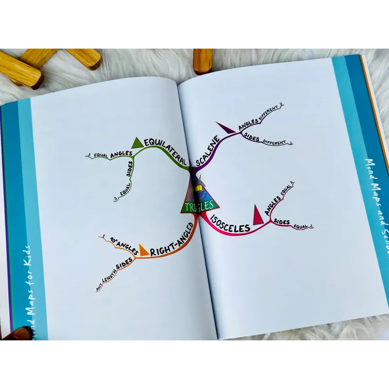 Bộ sách Mind maps for kids - Tony Buzan (3 cuốn) 732971