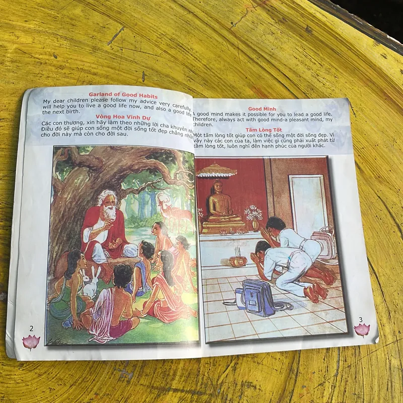 COMBO TỬ TẾ NHƯNG ĐỪNG DẠI KHỜ CON NHÉ- NHỮNG LỜI CHA DẠY- TRUYỆN CỔ SỰ TÍCH CỨU VẬT PS 735734