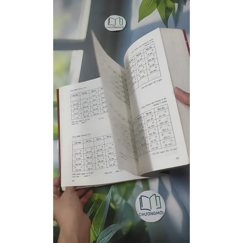 [MIỄN PHÍ BỌC SÁCH] Lịch Trăm Năm Thế Kỷ XXI - Lê Khánh Trường 1018914