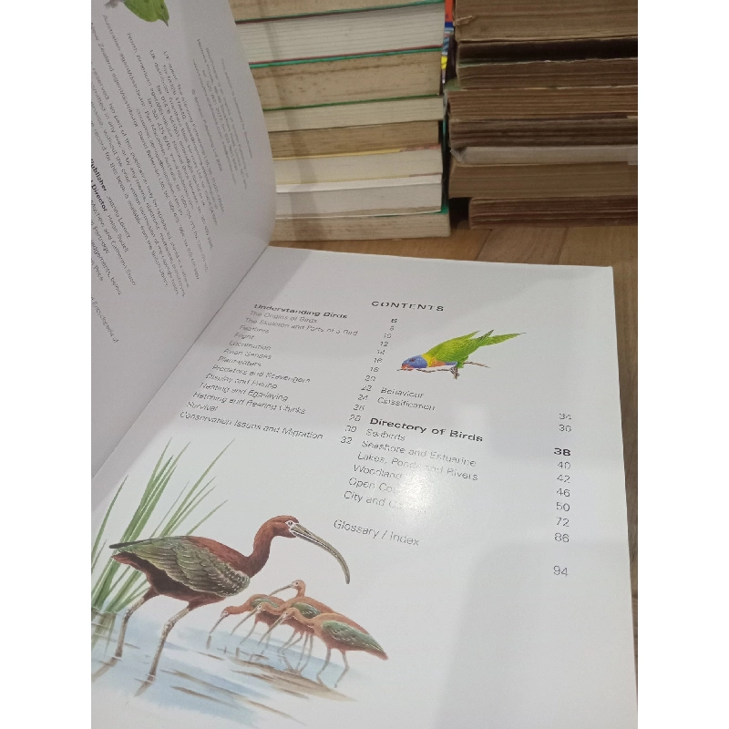 Birds of Asia & Australia: An Illustrated encyclopedia and birdwatching guide - David Alderton 791707