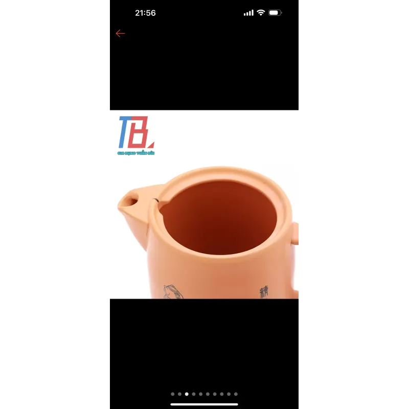 Ấm sắc thuốc bắc bằng điện 3 lít 753061