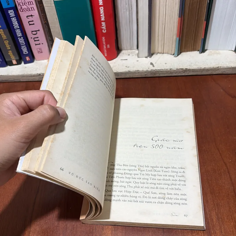 II Biên Khảo: Sim Và Âm Vang Cố Quận - Vũ Đức Sao Biển - 2017 776807