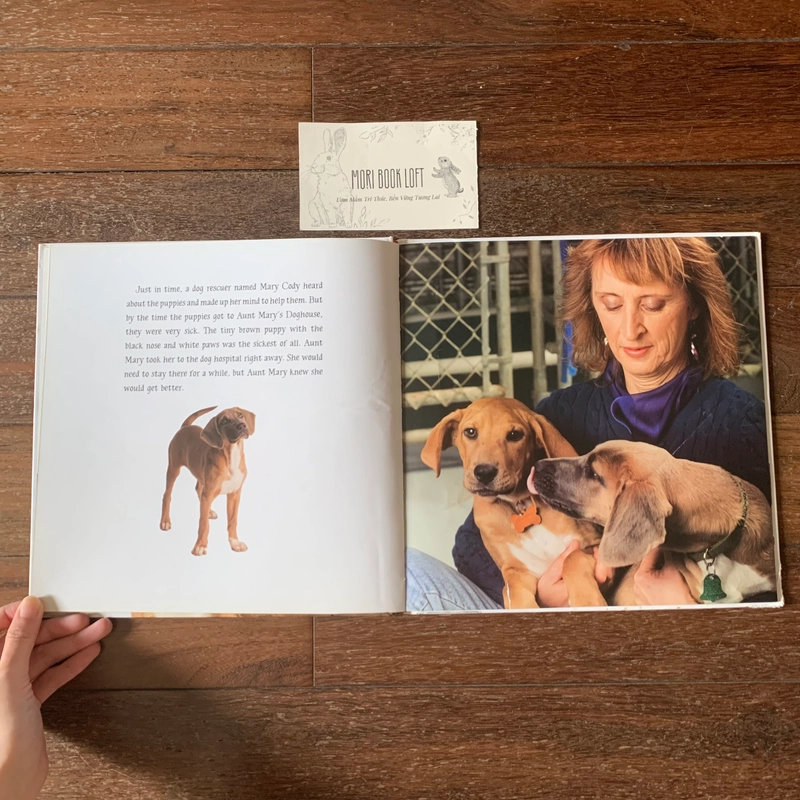 Sách A Home for Dixie: The True Story of a Rescued Puppy, Used, Bìa Cứng, Khổ Lớn 498026