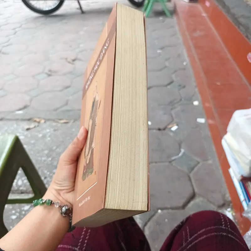 Khổng Học Đăng - Sào Nam Phan Bội Châu 738652