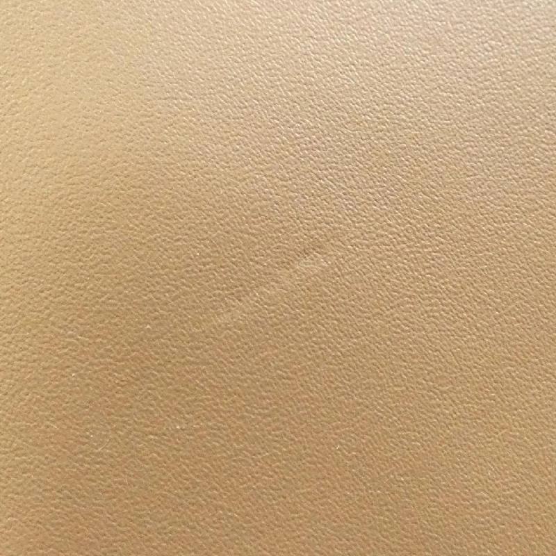 Túi Coach CC411 617833