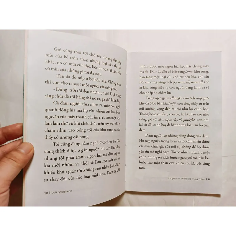 Chuyện Con Chó Tên Là Trung Thành 716477