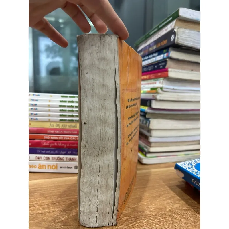 Bảo vật giang hồ 600660