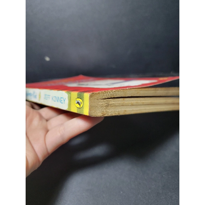 Diary of a wimpy kid a novel in cartoons mới 70% bẩn nhẹ, ố vàng HCM1001 Jeff Kinney NGOẠI VĂN 918292