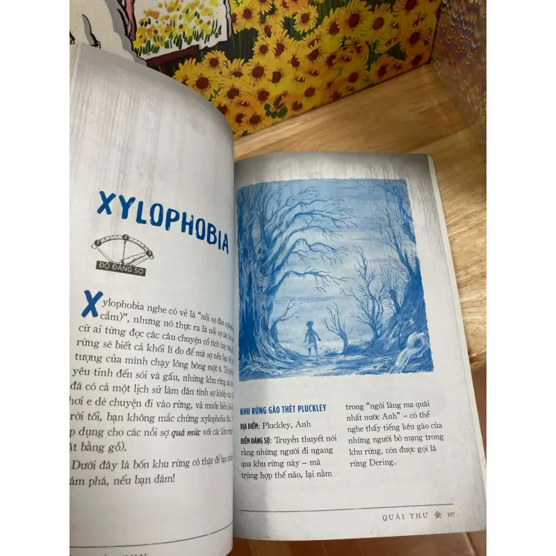 Quái Thư - Julie Winterbottom 928087