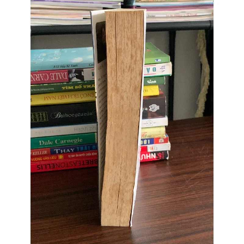 Nữ hoàng & kẻ cướp – Nhân Hải Trung 576510