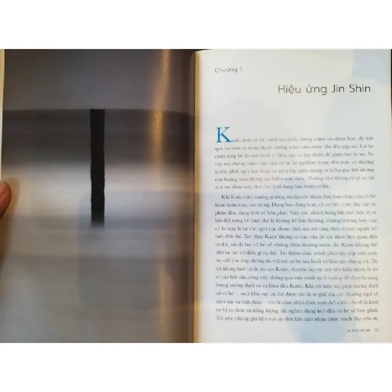 Jin Shin chạm để chữa lành - Alexis Brink 688881