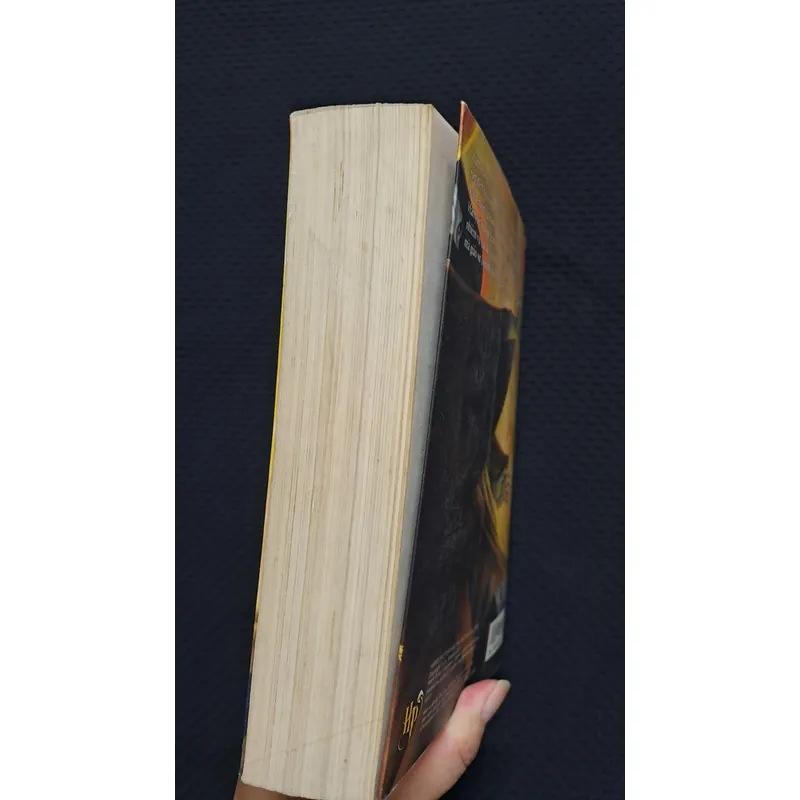 Harry Potter và bảo bối tử thần (p7) 596844