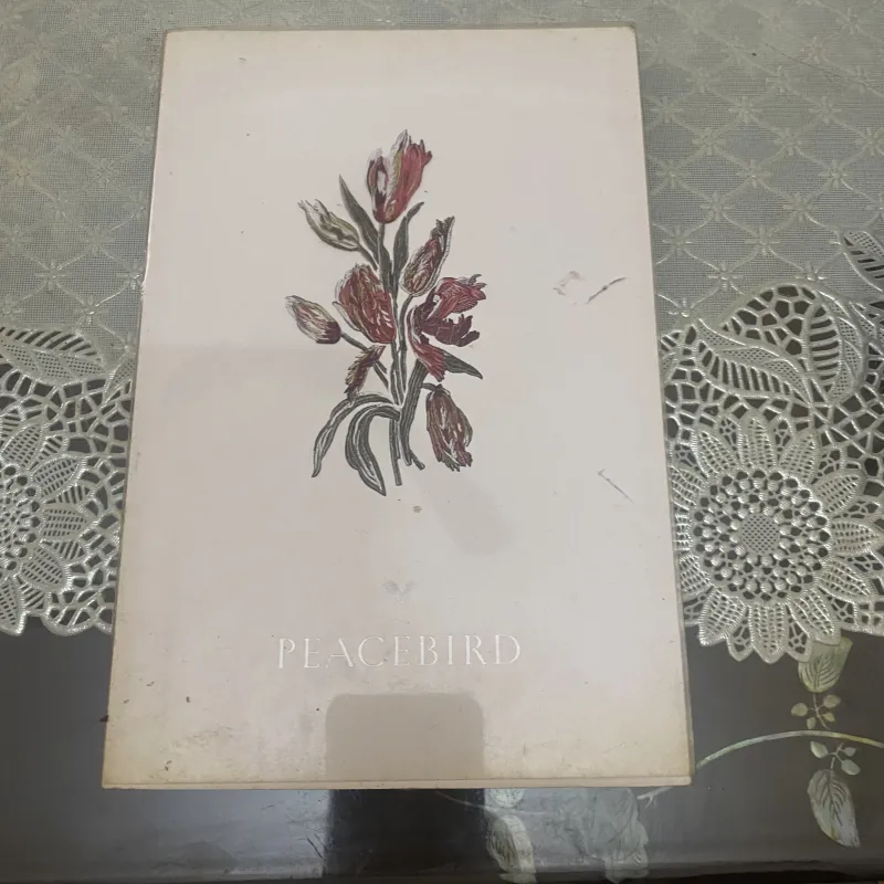 PeaceBird men sunmer & Spring casual 2015 972620