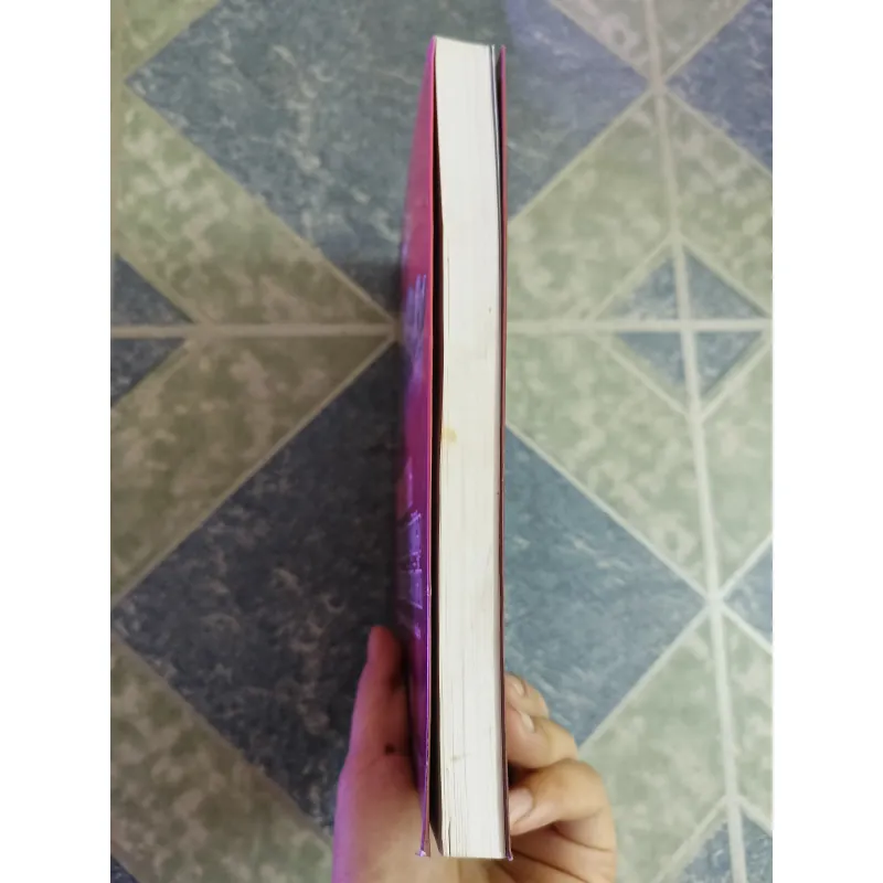 Long Hưng đất phát nghiệp Vương Triều Trần - Đặng Hùng 598322