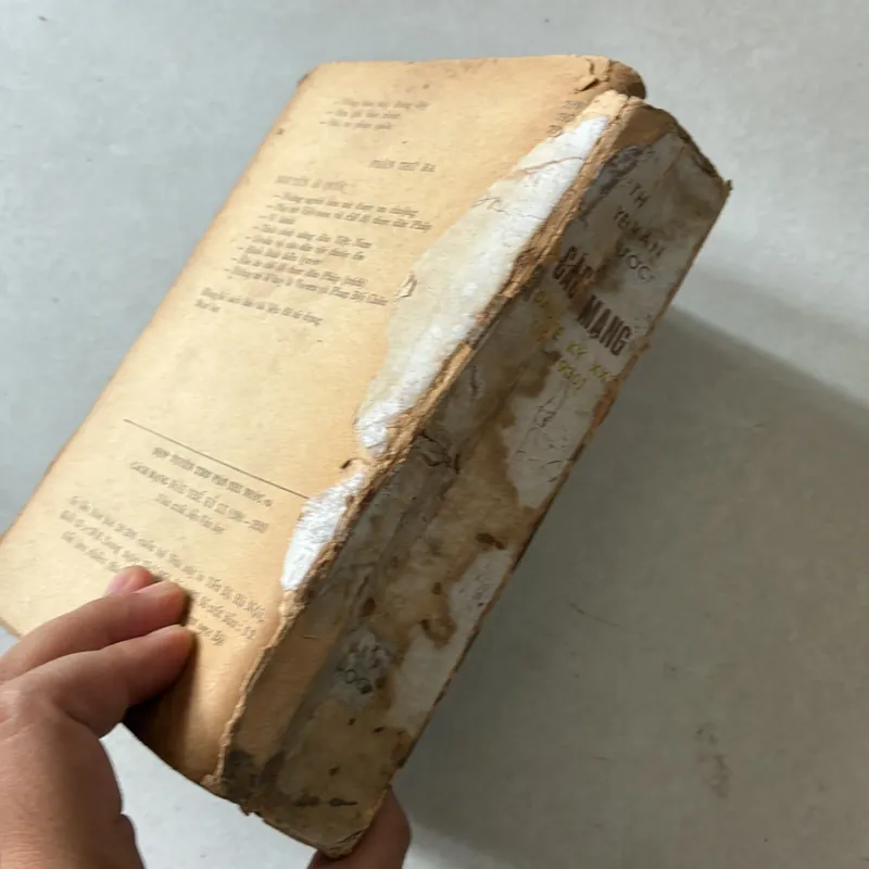 Thơ văn yêu nước và cách mạng đầu thế kỷ 20 739312