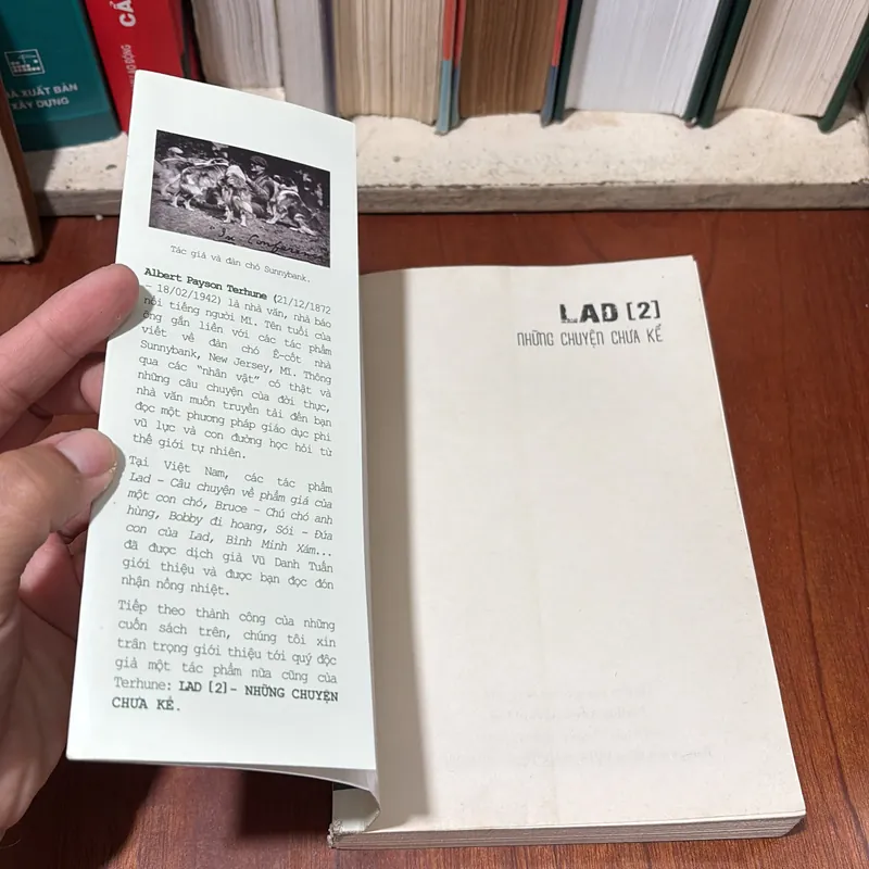 II Sách Kẹp Hạt Dẻ: LAD _ Những Chuyện Chưa Kể (Tập 2) - ALBERT PAYSON TERHUNE - 2020 722485