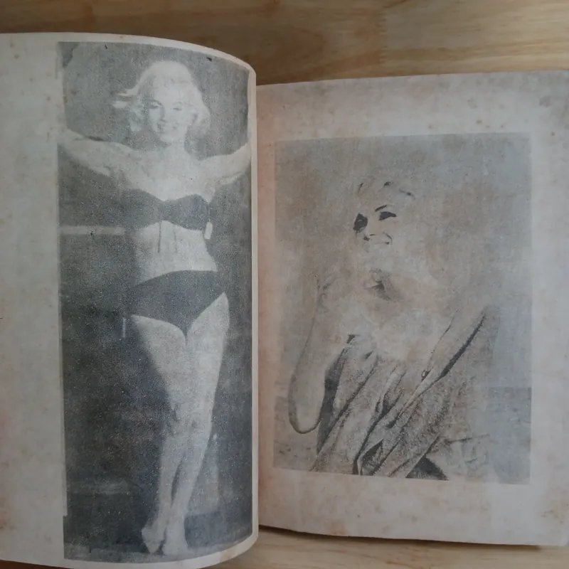 Những Mối Tình & Cuộc Đời Của Marilyn Monroe - Norman Mailer 560560