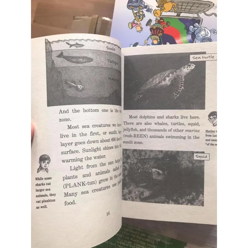 Magic treehouse Fact tracker  - 44 quyển 745161