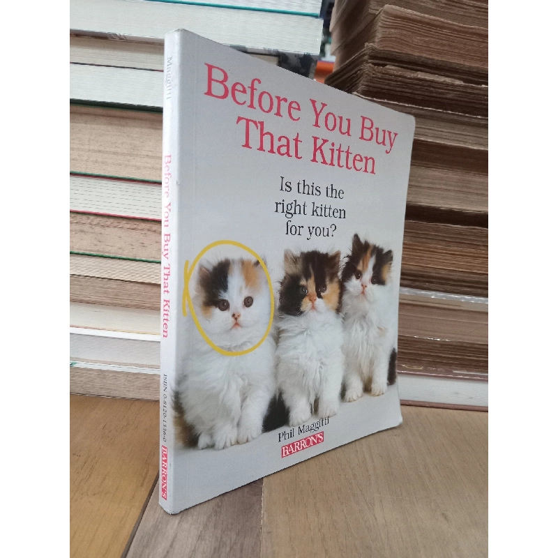 Before you buy that kitten - Phil Maggitti 753377