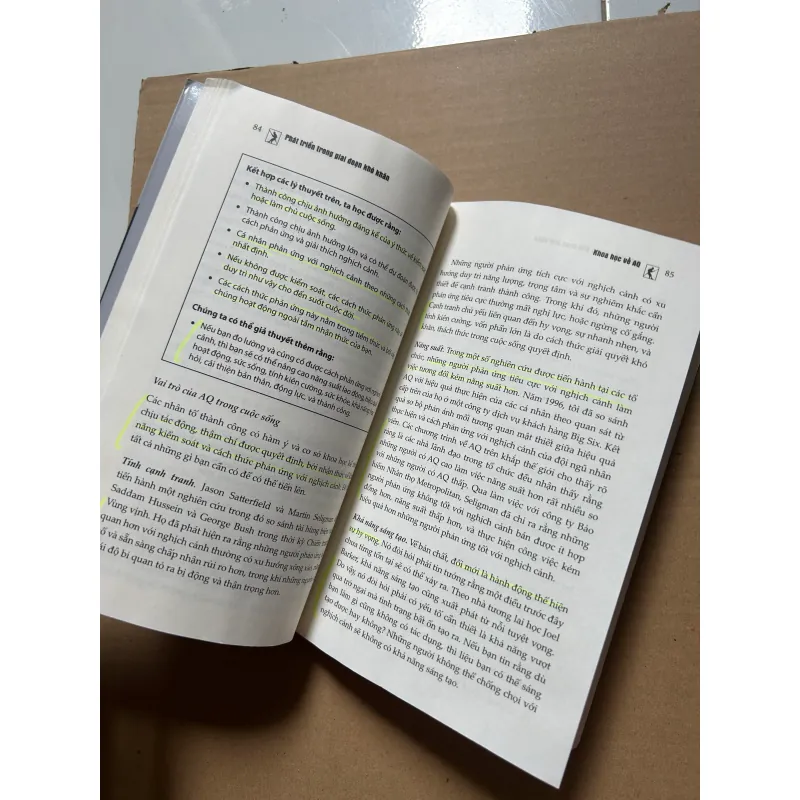 AQ - chỉ số vượt khó (ẩm góc trên) 800043