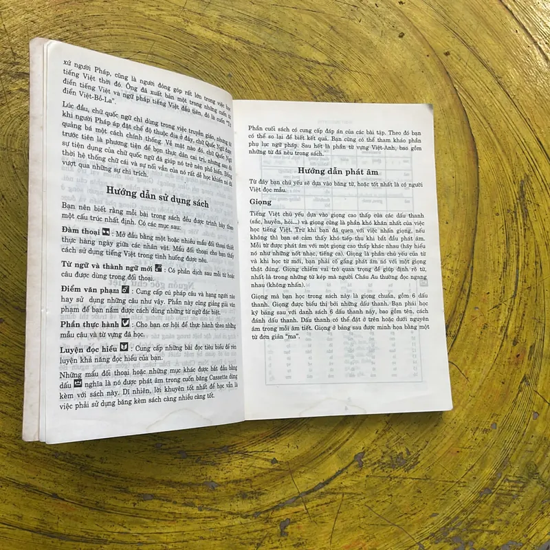 PHƯƠNG PHÁP HỌC NGOẠI NGỮ VIETNAMESE A COMPLETE COURSE FOR BEGINNERS TIẾNG VIỆT 700655