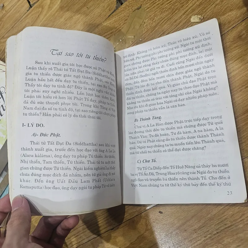 Ba vấn đề trọng đại trong đời tu của tôi (rách nhẹ ở bìa, bìa phai màu nặng)
20k 780186