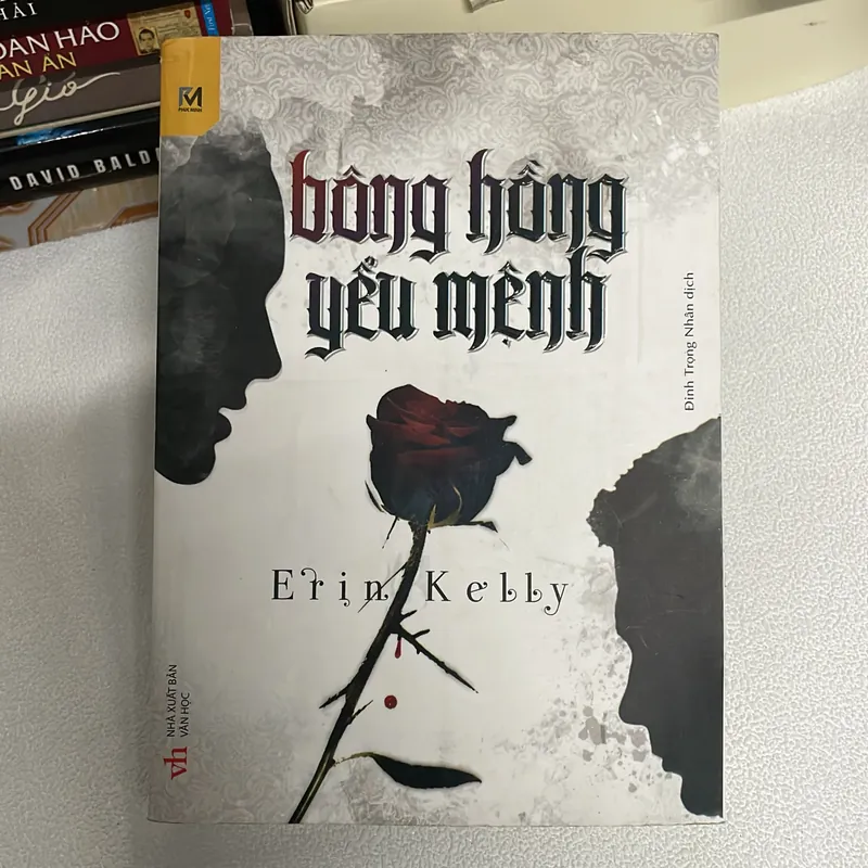 Bông hồng yểu mệnh 573948