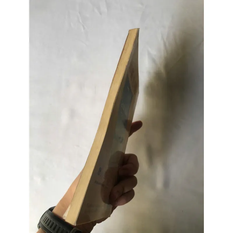 Hoàng Nê Phố - Tàn Tuyết 926499