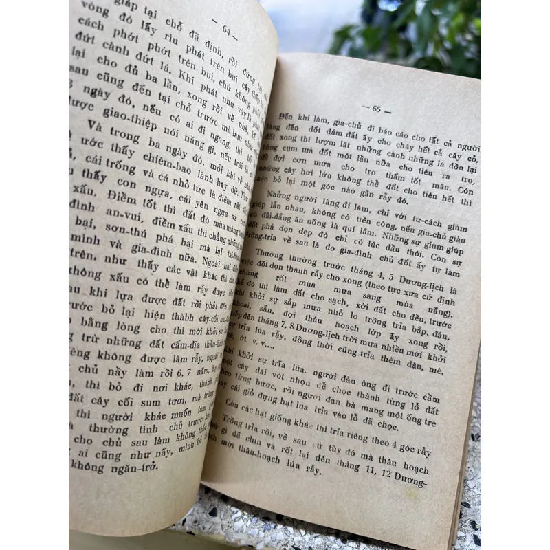 Phong quang tỉnh Darlac - Hòi Văn Đàm 592152