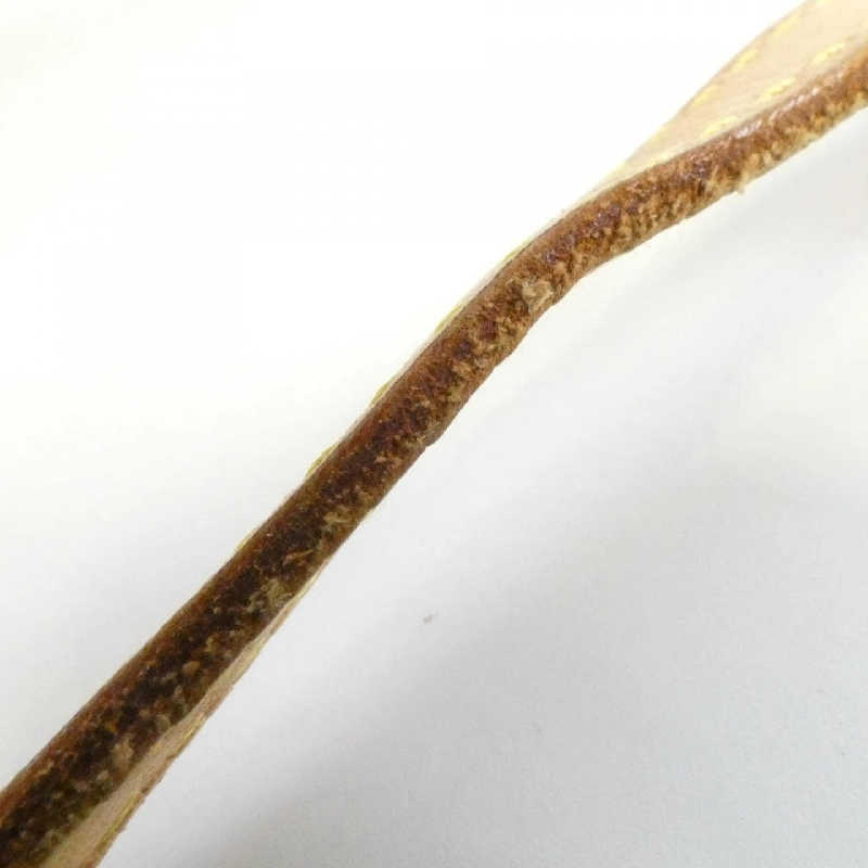 Túi đeo hông Louis Vuitton Monogram Pochette M51159 - Hàng hiệu Authentic 801248