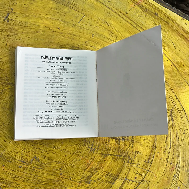 CHÂN LÝ VÀ NĂNG LƯỢNG- TAMMIE TRUONG 702055