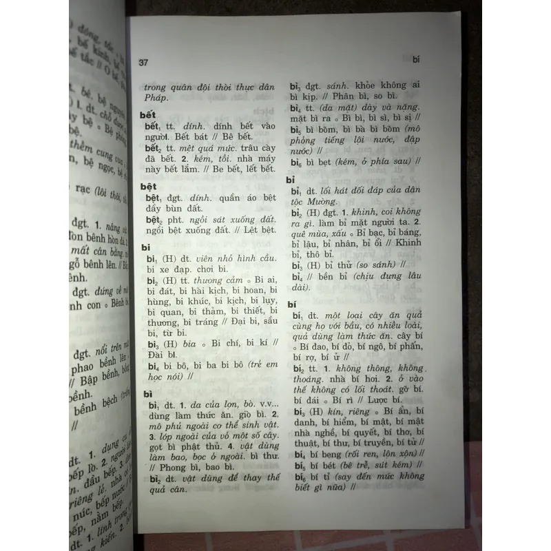 Từ điển đồng âm tiếng Việt  731490