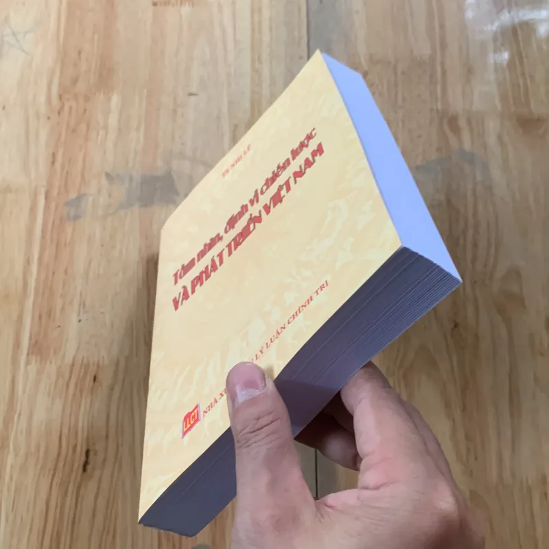 Tầm nhìn định vị chiến lược và phát triển việt nam 1022741