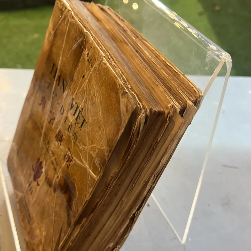 HÁN VIỆT TỰ ĐIỂN - THIỀU CHỬU 299679