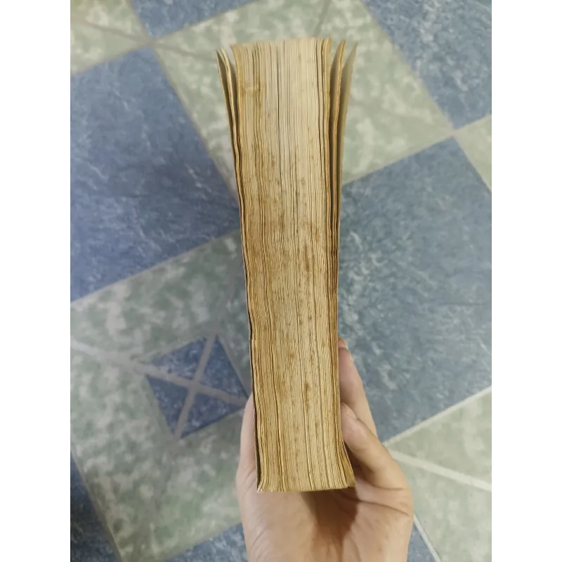 Mưu Lược Và Chiến Thắng - Phùng Lập Ngao 608779