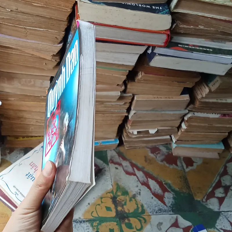 Dáu Giấc Mộng - Quỳnh Dao 775876