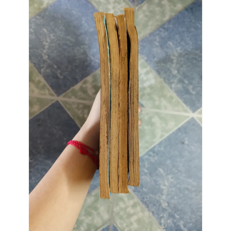 Lý Tiểu Long võ công toàn thư - Lạc Việt & Phạm Xuân Thảo 726626