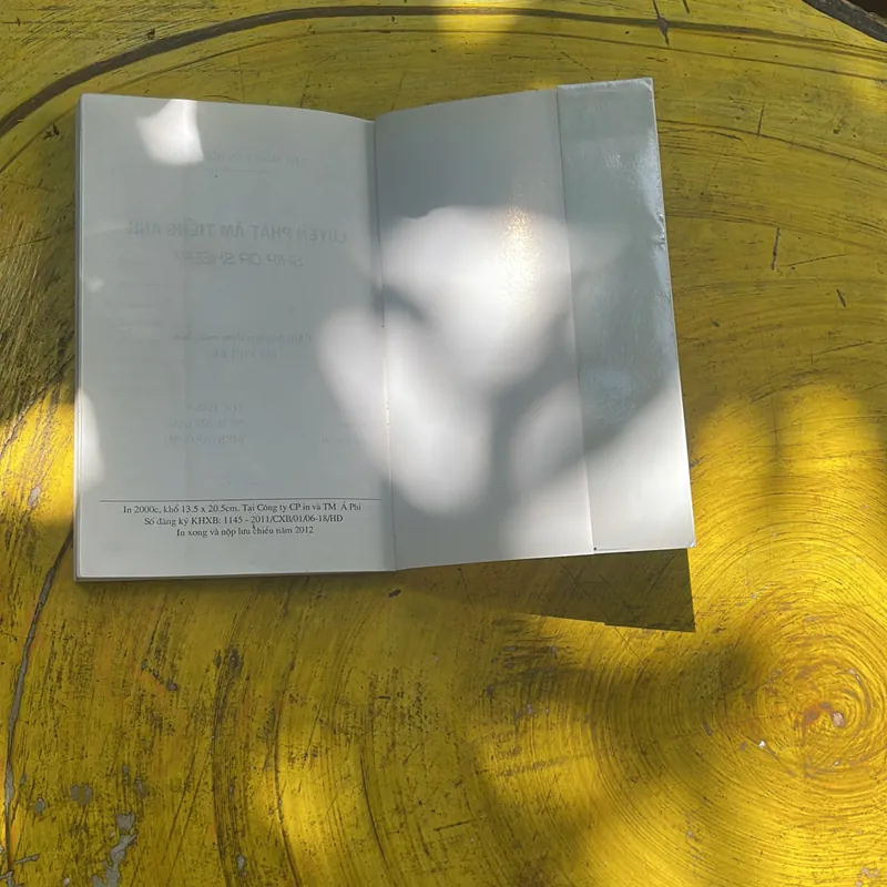 COMBO GIẢI THÍCH CHUYÊN SÂU NGỮ PHÁP TIẾNG ANH- LUYỆN PHÁT ÂM TIẾNG ANH SHIP OR SHEEP? 707496