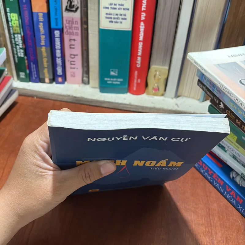 II Tiểu Thuyết: Mạch Ngầm - Nguyễn Văn Cự - 2016 786216