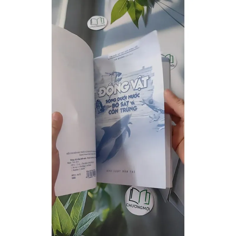 Động vật: Sống dưới nước, bò sát và côn trùng - An Khánh 1018832