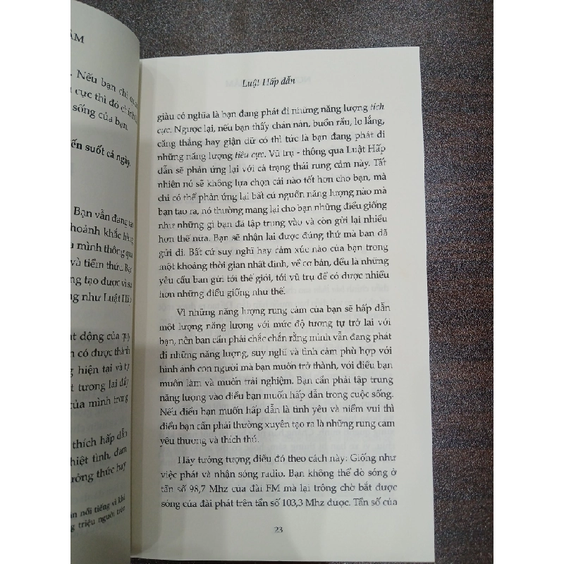 Người Nam Châm 537411