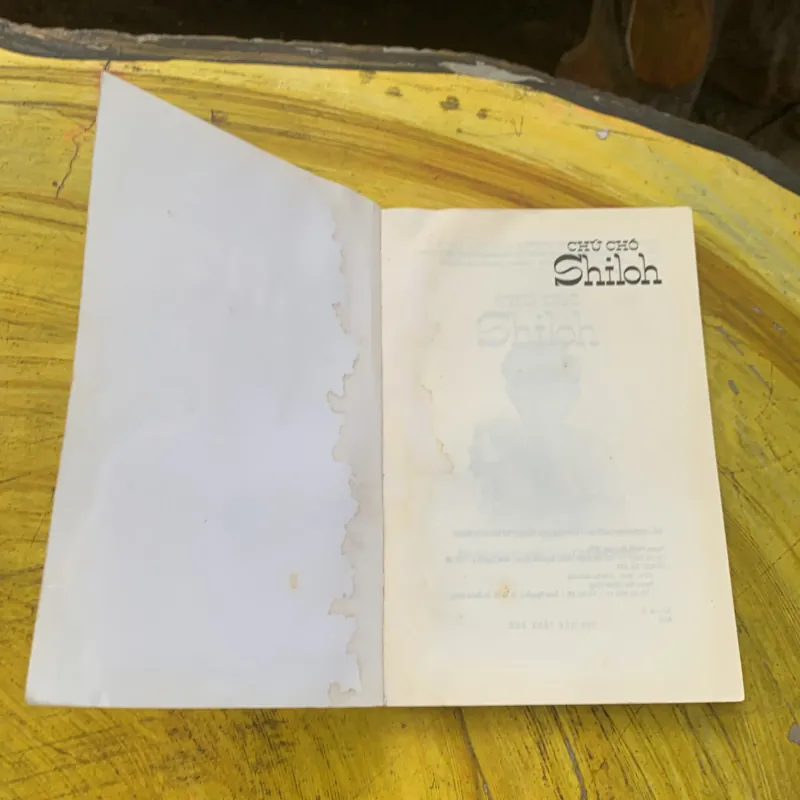 COMBO CHÚ CHÓ SHILOH - MÙA SĂN SHILOH - GIẢI CỨU SHILOH- PHYLLIS REYNOLDS NAYLOR 784597