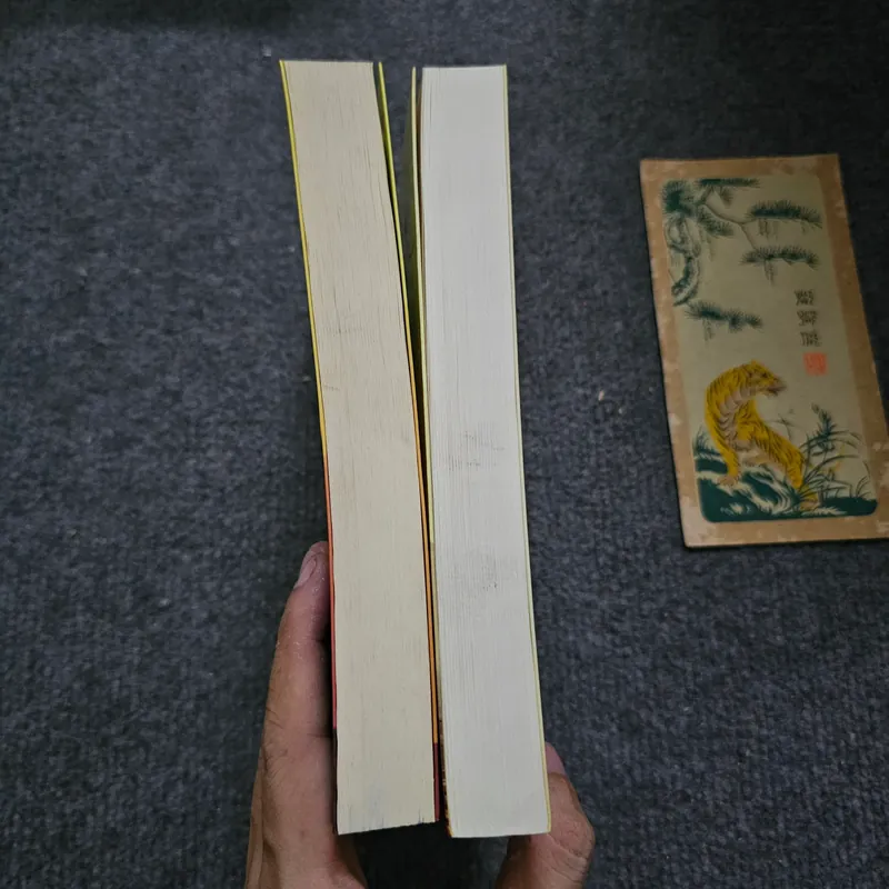 Người đua diều, Ngàn mặt trời rực rỡ 733908